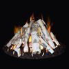 Grand Canyon Birch Fire Pit Logs - 48"