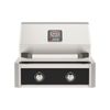 AOG built-in gas grill with 2 burners, analog temperature gauge, and black control panel