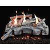 Grand Canyon Aspen Birch Single-Sided Ventless Gas Log Set