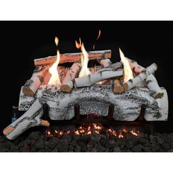 Grand Canyon Aspen Birch Single-Sided Ventless Gas Log Set