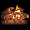 Golden Blount Texas Hickory Fire Vented Gas Log Set