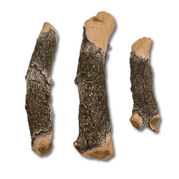 Promo Item: Grand Canyon Quaking Aspen Twig Set - 4 pc.