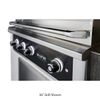 Wildfire Ranch Pro Black Stainless Steel Built-In Gas Grill - 42"