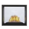 Napoleon High Definition 81 Direct Vent See-Thru Fireplace