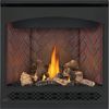 Napoleon Ascent 36 Direct Vent Gas Fireplace