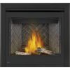 Napoleon Ascent 36 Direct Vent Gas Fireplace