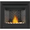 Napoleon Ascent 36 Direct Vent Gas Fireplace