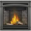 Napoleon Ascent 36 Direct Vent Gas Fireplace