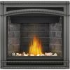 Napoleon Ascent 36 Direct Vent Gas Fireplace