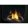 Napoleon Ascent 36 Direct Vent Gas Fireplace