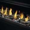 Napoleon Vector 62 Direct Vent See-Through Gas Fireplace