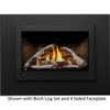 Napoleon Rosedale 3 Direct Vent Gas Fireplace Insert