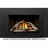 Napoleon Rosedale 3 Direct Vent Gas Fireplace Insert