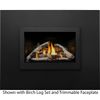 Napoleon Rosedale 3 Direct Vent Gas Fireplace Insert