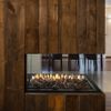 Montigo Exemplar Pier RP424PFC Premium DV Gas Fireplace