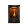 Napoleon Castlemore Direct Vent Cast Iron Gas Stove - Majolica Brown