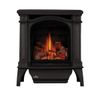 Napoleon Bayfield Direct Vent Cast Iron Gas Stove