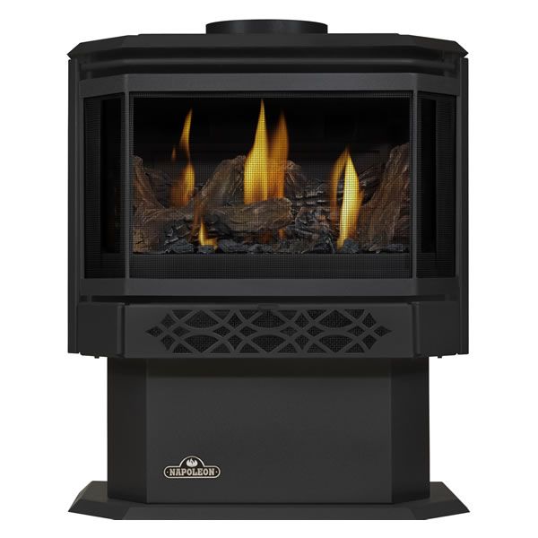 Napoleon GDS28 Haliburton Direct Vent Gas Stove