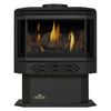 Napoleon GDS28 Haliburton Direct Vent Gas Stove
