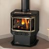 Napoleon GDS28 Haliburton Direct Vent Gas Stove