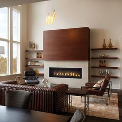 Napoleon Vector 62 Direct Vent Gas Fireplace