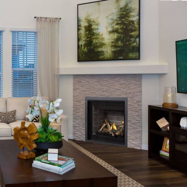 Napoleon Altitude 36 Direct Vent Fireplace
