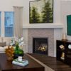 Napoleon Altitude 36 Direct Vent Fireplace