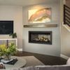 Napoleon Ascent Linear 42 Direct Vent Fireplace