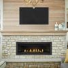 Napoleon Ascent Linear 56 Direct Vent Fireplace