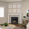 Napoleon Ascent X 36 Direct Vent Fireplace