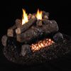 Peterson Real Fyre Evening Fyre See Through Ventless Gas Log Set