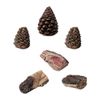 Rasmussen Accent Kit - 3 Wood Chips and 3 Pinecones - Small
