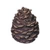 Rasmussen Refractory Ceramic Pine Cone - Large Flat