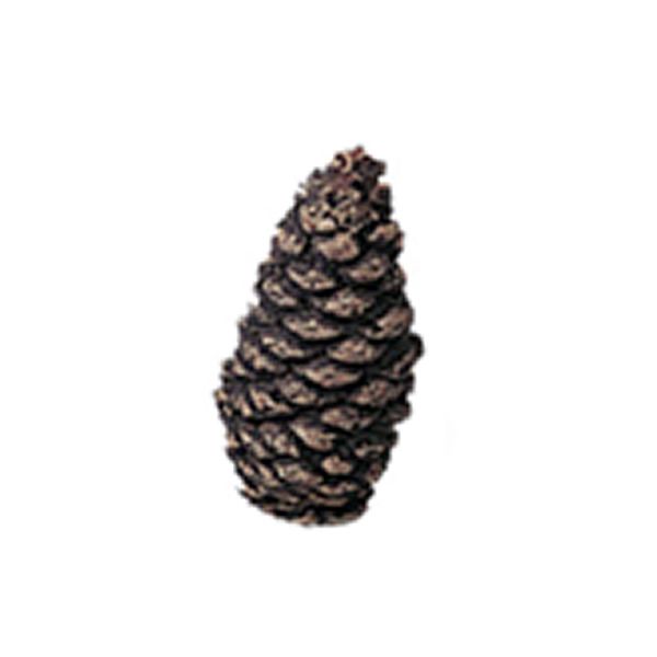 Rasmussen Refractory Ceramic Pine Cone Tiny - 2" Flat