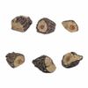 Rasmussen Refractory Ceramic Wood Chunks - Set of 6