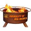 U of New Mexico Fire Pit