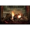 Montigo Paragon See-Through Direct Vent Gas Fireplace &ndash; 40&rdquo;
